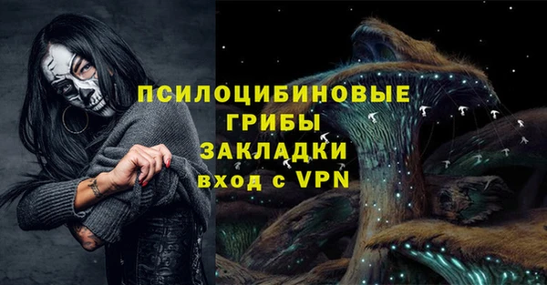 амф Алексин