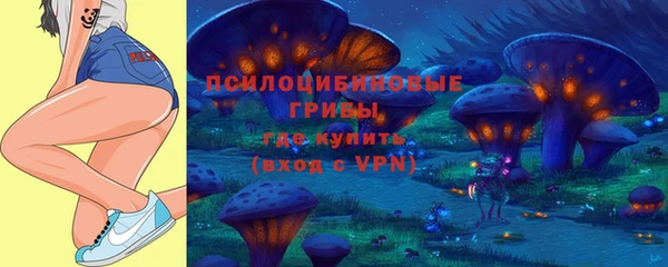 сатива Алексеевка