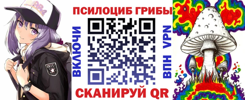 Псилоцибиновые грибы Cubensis  мориарти официальный сайт  Хадыженск 
